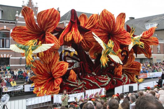 A float in the Dutch Dahlias on Parade