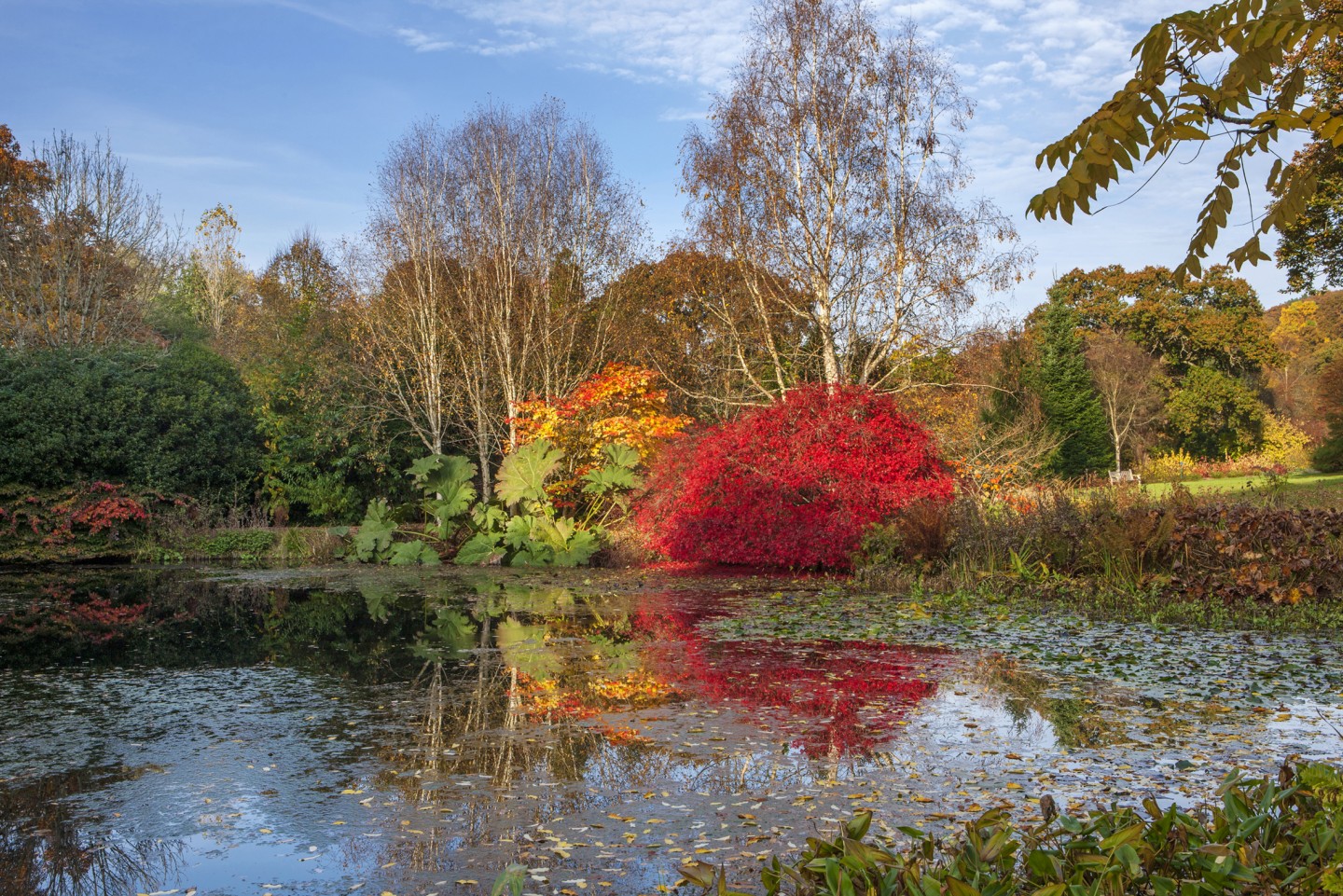 Glow Winter Illuminations at Rosemoor - Greatdays Group Tour