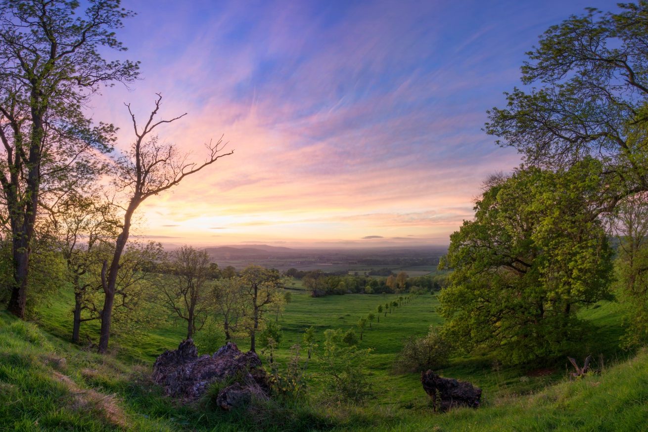 Stratford, The Cotswolds and Tudor Warwick - Greatdays