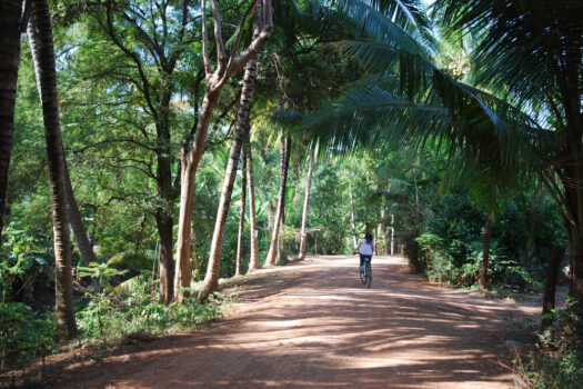 Cambodia, Battambang, cycling tour, bike tour