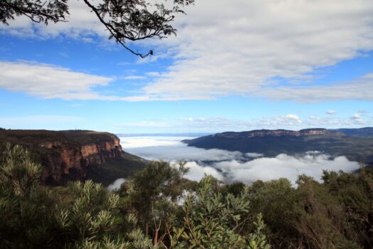 Blue Mountains