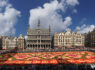 Brussels, Belgium - Flower carpet