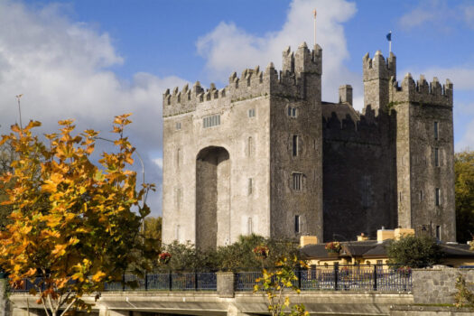 Bunratty Castle and Folk Park