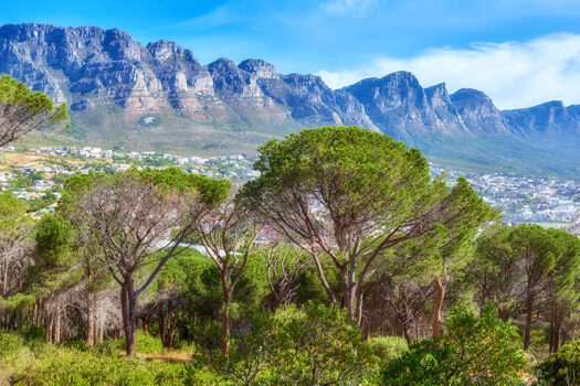 Cape Town, South Africa Table Mountain