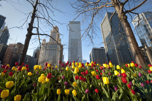 Skyline of Chicago