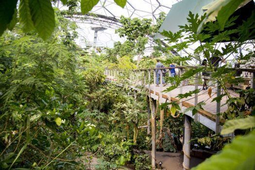 Visitors inside the Eden Project