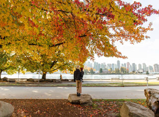 Stanley Park in Autumn