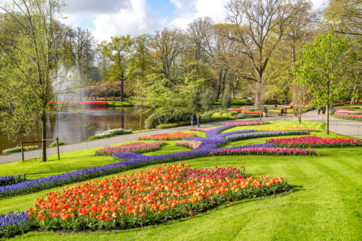 Keukenhof, Gardens, tulips, river