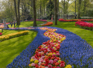 Holland, Netherlands, Keukenhof Gardens