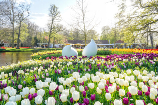 Keukenhof Gardens, holland, dutch bulbfields, gardens, tulips