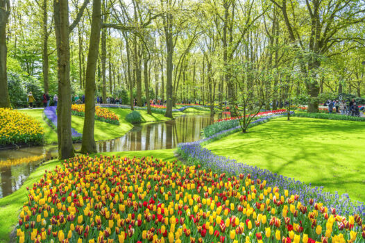 Keukenhof, Gardens, tulips, river