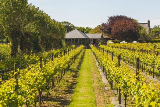 La Mare Wine Estate, Jersey, Channels Islands