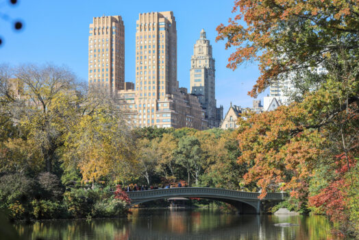 Central Park, New York