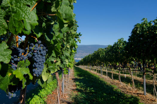 Okanagan Valley, Canada