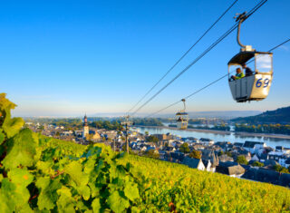 View of Rüdesheim and the surrounding vineyards