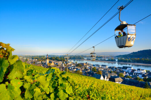 View of Rüdesheim and the surrounding vineyards