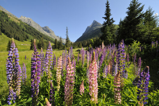 St Anton am Arlberg, Austria