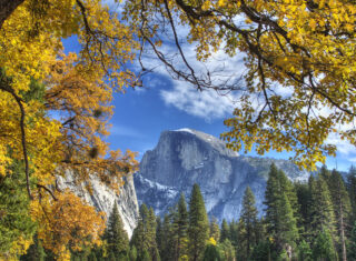 USA, United States of America, California, Yosemite