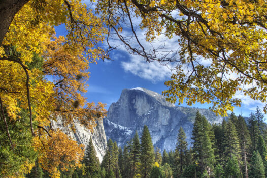 USA, United States of America, California, Yosemite