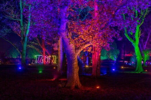 RHS Glow 2024 Bridgewater Illuminations Group Tours