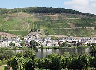 Germany - Rhine - La Moselle