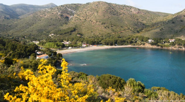 Panoramic view of the bay in Roses