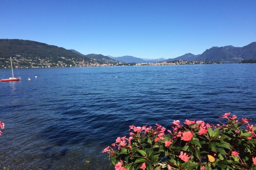 Camellias Aosta Baveno, Lake Maggoire - Italy. European travel