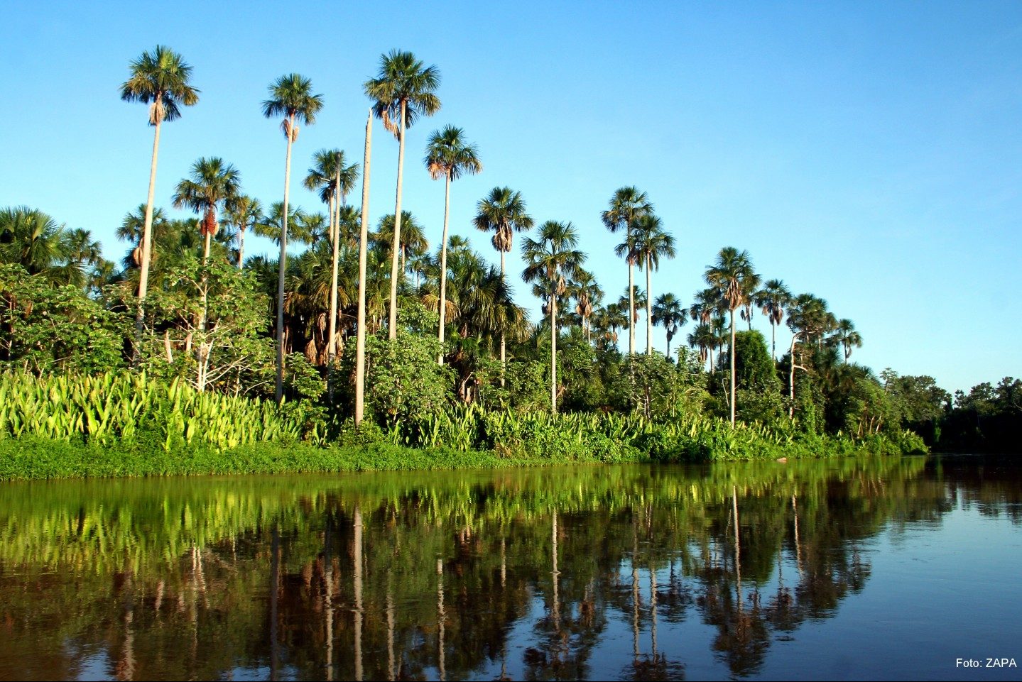 pantanal brasil tour