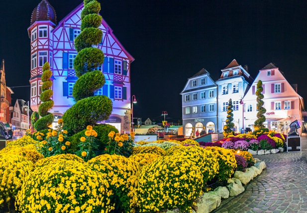 Chrysanthemum Festival in the Black Forest - A Feast of Autumn Colours