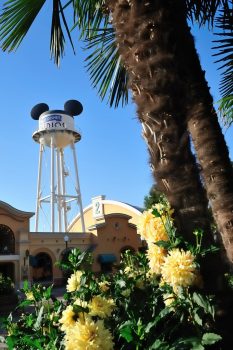 Entrance Walt Disney Studios® Park © Disney