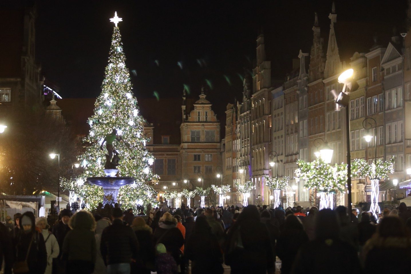 Gdansk, Poland - Christmas decorations at night (03) © Grzegorz Mehring ...