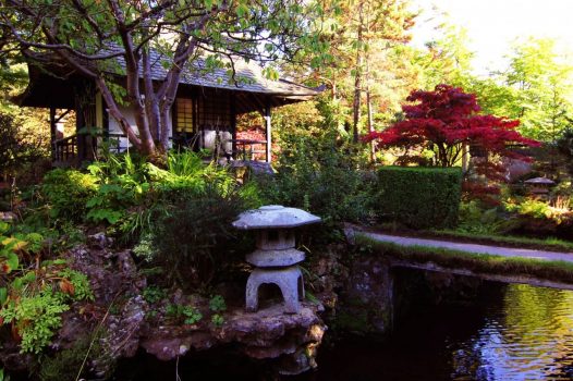 Irish National Stud & Gardens, Co Kildare, Ireland - Japanese Gardens Teahouse