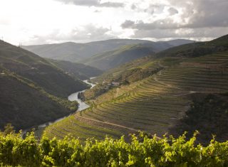 Douro Valley, Portugal