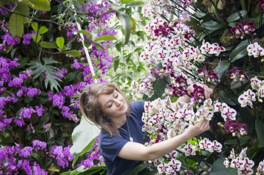 Kew Gardens Orchid Festival London accommodation choice