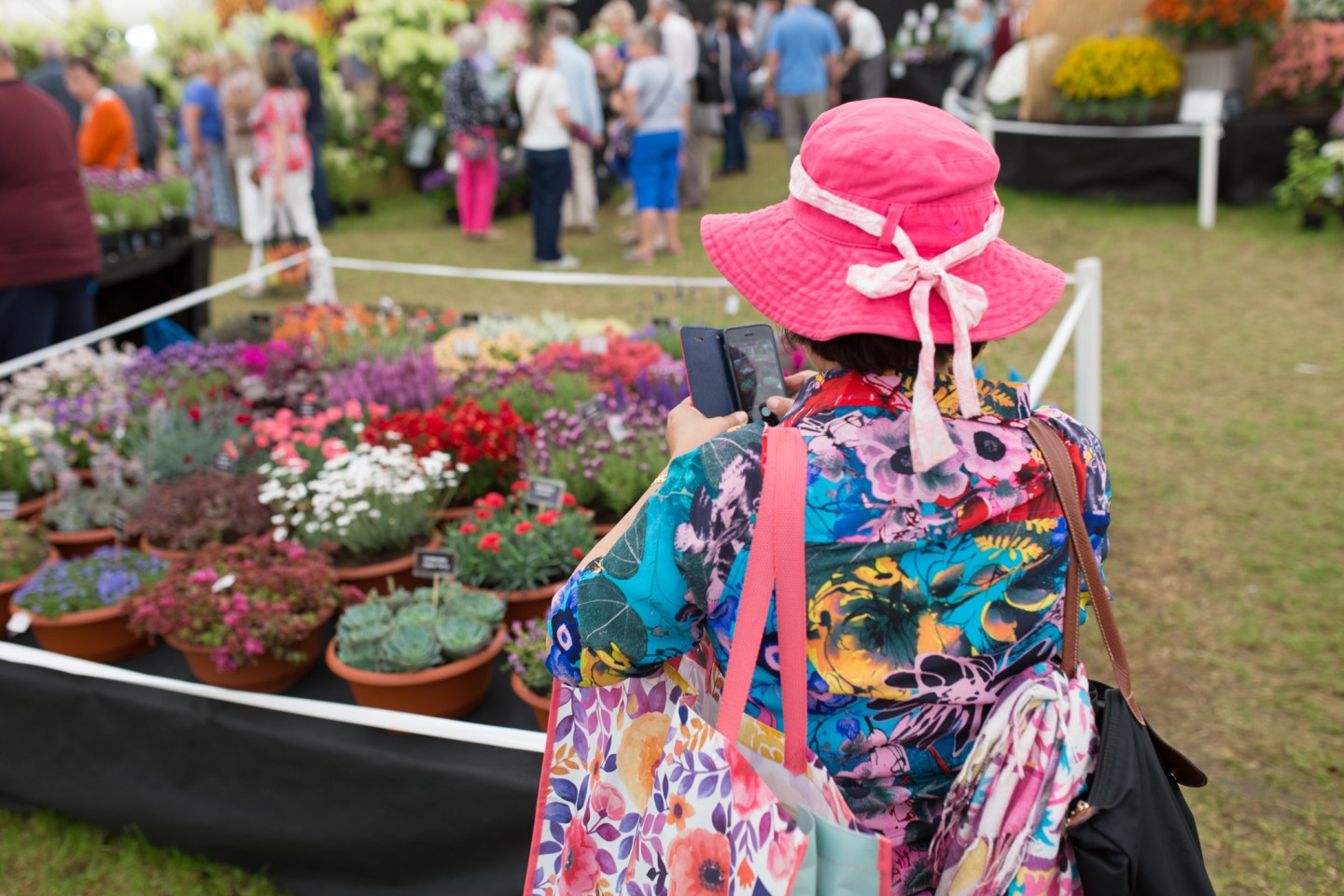 shrewsbury-flower-show-group-tours-with-greatdays-travel-group