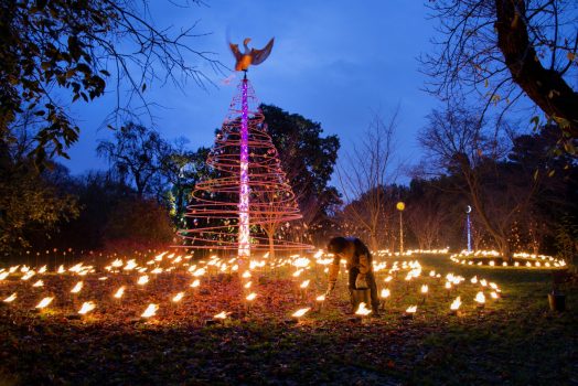 Jeff Eden Fire Garden at Kew © Kew Gardens