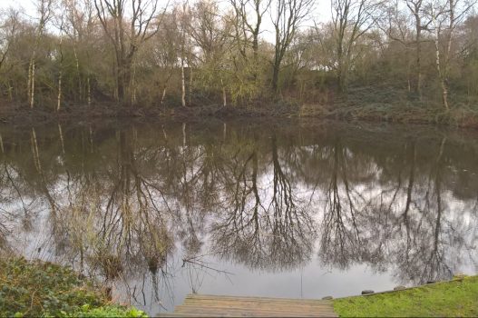 WW1 Battlefields, Belgium - Spanbroekmolen – The Pool of Peace (AFR-NCN ...